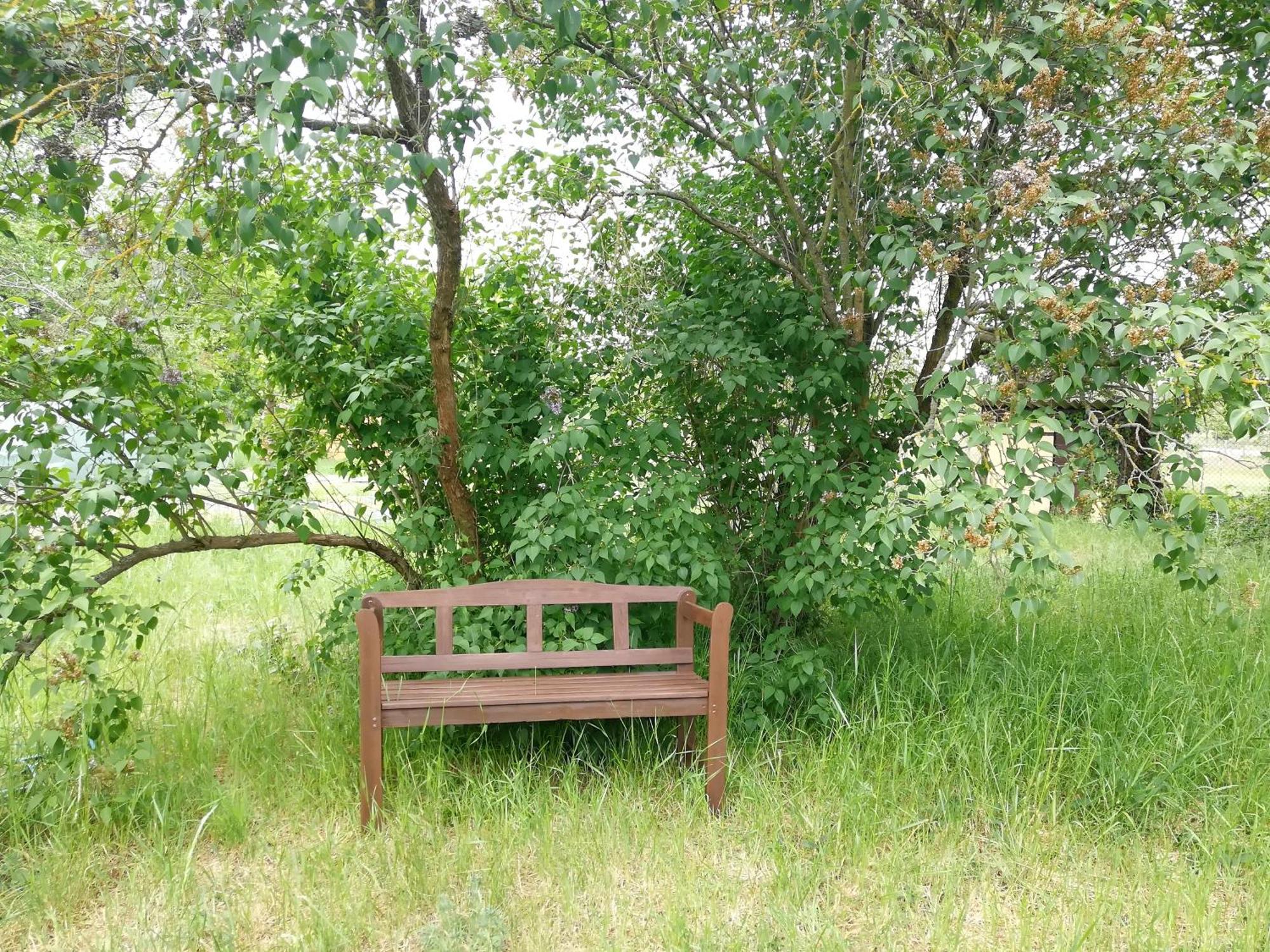 Kleine Galerie Apartment Fuer 3 Mit Kueche Kamin Netflix Parken Und Hofladen Steinhofel 外观 照片